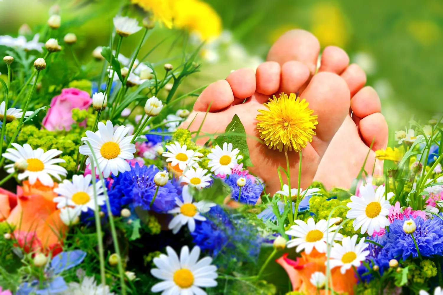 Gabinet podologiczny Koszalin