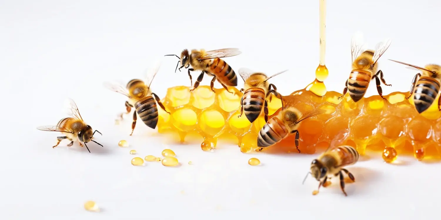 Korzyści zdrowotne miodu