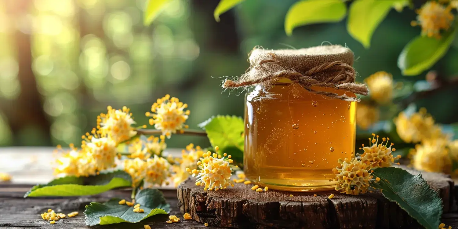 Właściwości miodu gryczanego
